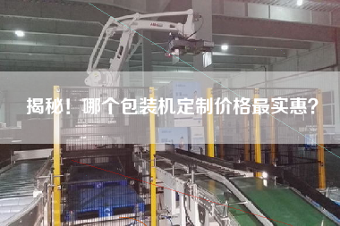 揭秘！哪個(gè)包裝機(jī)定制價(jià)格最實(shí)惠？