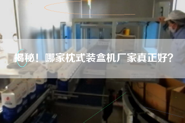 揭秘！哪家枕式裝盒機(jī)廠家真正好？