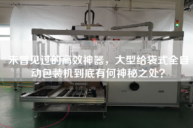 未曾見過的高效神器，大型給袋式全自動包裝機到底有何神秘之處？