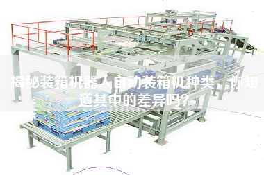 揭秘裝箱機器人自動裝箱機種類，你知道其中的差異嗎？