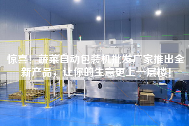 驚喜！蔬菜自動包裝機(jī)批發(fā)廠家推出全新產(chǎn)品，讓你的生意更上一層樓！