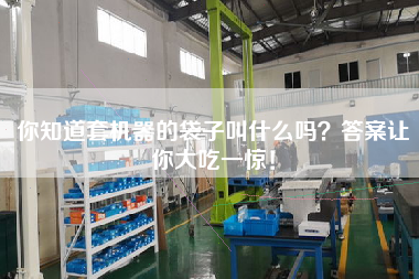 你知道套機器的袋子叫什么嗎？答案讓你大吃一驚！