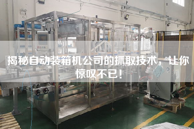 揭秘自動(dòng)裝箱機(jī)公司的抓取技術(shù)，讓你驚嘆不已！