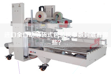 進口全自動給袋式包裝機參數(shù)到底有哪些？