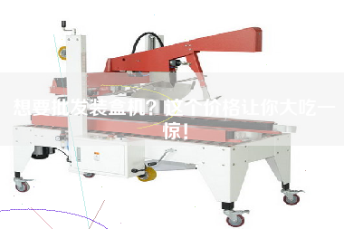 想要批發(fā)裝盒機？這個價格讓你大吃一驚！