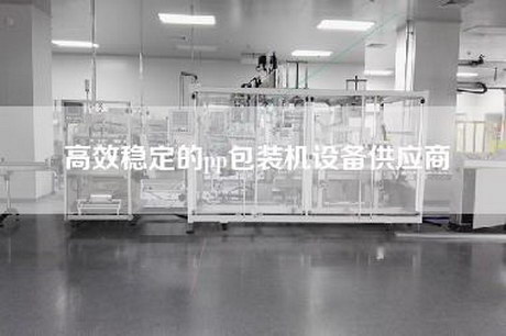高效穩(wěn)定的pp包裝機(jī)設(shè)備供應(yīng)商