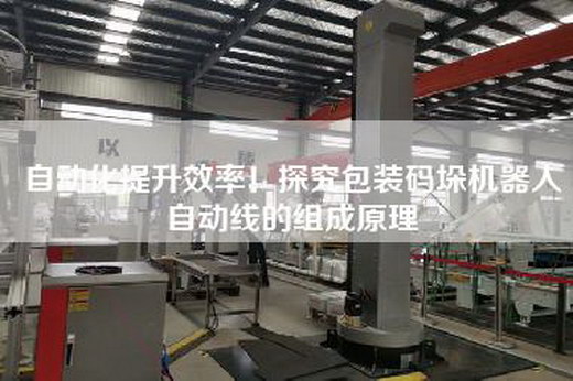自動化提升效率！探究包裝碼垛機(jī)器人自動線的組成原理