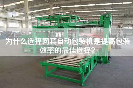 為什么選擇網(wǎng)套自動包裝機是提高包裝效率的最佳選擇？