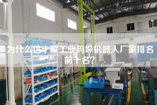 為什么這十家工業(yè)碼垛機(jī)器人廠家排名前十名？