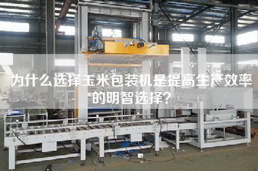 為什么選擇玉米包裝機是提高生產效率的明智選擇？