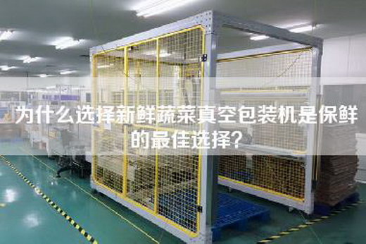 為什么選擇新鮮蔬菜真空包裝機是保鮮的最佳選擇？