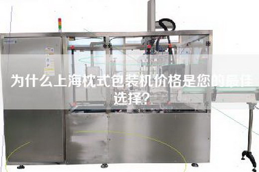 為什么上海枕式包裝機(jī)價(jià)格是您的最佳選擇？