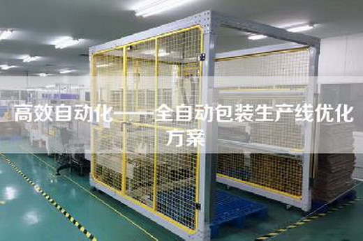 高效自動(dòng)化——全自動(dòng)包裝生產(chǎn)線優(yōu)化方案