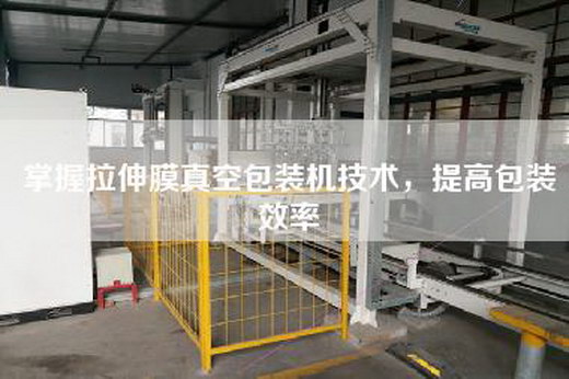 掌握拉伸膜真空包裝機技術，提高包裝效率
