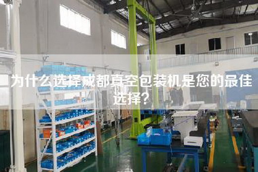 為什么選擇成都真空包裝機是您的最佳選擇？