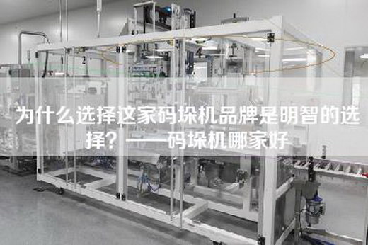 為什么選擇這家碼垛機(jī)品牌是明智的選擇？——碼垛機(jī)哪家好