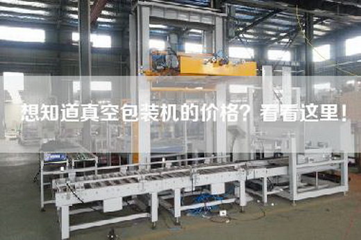 想知道真空包裝機的價格？看看這里！