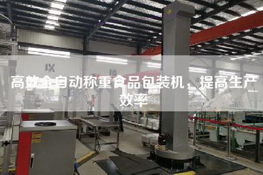 高效全自動稱重食品包裝機(jī)，提高生產(chǎn)效率