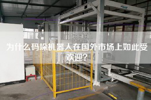 為什么碼垛機(jī)器人在國(guó)外市場(chǎng)上如此受歡迎？