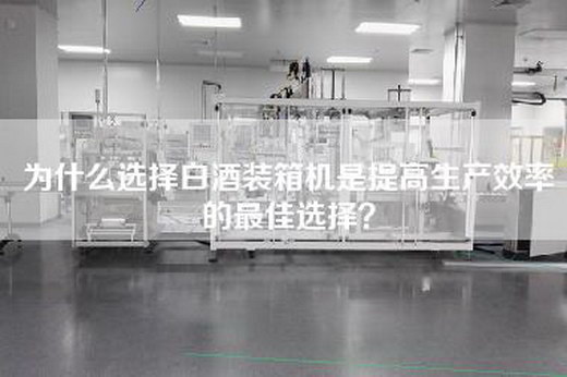 為什么選擇白酒裝箱機(jī)是提高生產(chǎn)效率的最佳選擇？