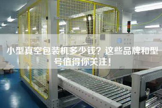 小型真空包裝機(jī)多少錢？這些品牌和型號(hào)值得你關(guān)注！