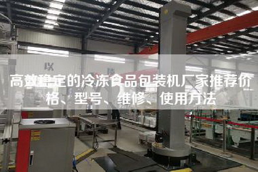 高效穩(wěn)定的冷凍食品包裝機廠家推薦價格、型號、維修、使用方法