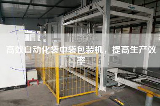 高效自動(dòng)化袋中袋包裝機(jī)，提高生產(chǎn)效率