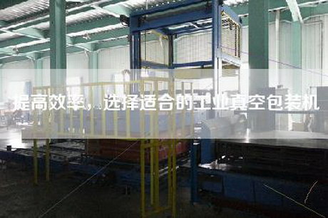 提高效率，選擇適合的工業(yè)真空包裝機