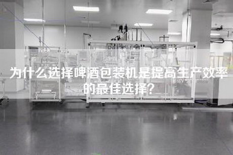 為什么選擇啤酒包裝機(jī)是提高生產(chǎn)效率的最佳選擇？