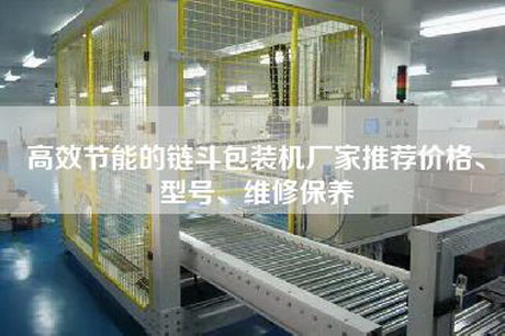 高效節(jié)能的鏈斗包裝機廠家推薦價格、型號、維修保養(yǎng)