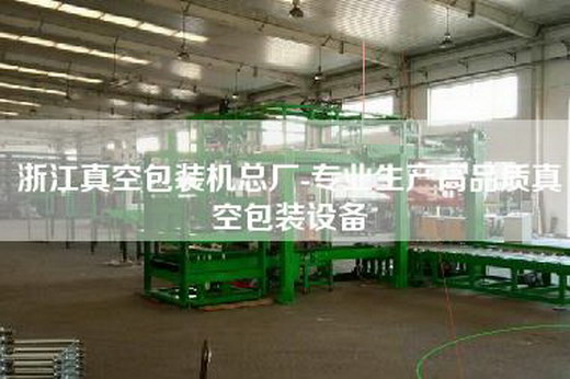 浙江真空包裝機總廠-專業(yè)生產(chǎn)高品質(zhì)真空包裝設(shè)備