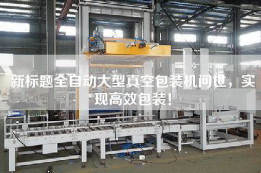 新標(biāo)題全自動(dòng)大型真空包裝機(jī)問(wèn)世，實(shí)現(xiàn)高效包裝！