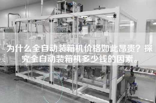 為什么全自動裝箱機價格如此昂貴？探究全自動裝箱機多少錢的因素。