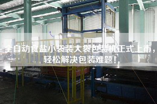 全自動(dòng)食鹽小袋裝大袋包裝機(jī)正式上市，輕松解決包裝難題！