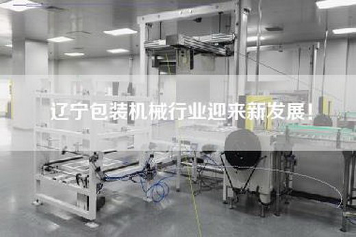 遼寧包裝機(jī)械行業(yè)迎來(lái)新發(fā)展！