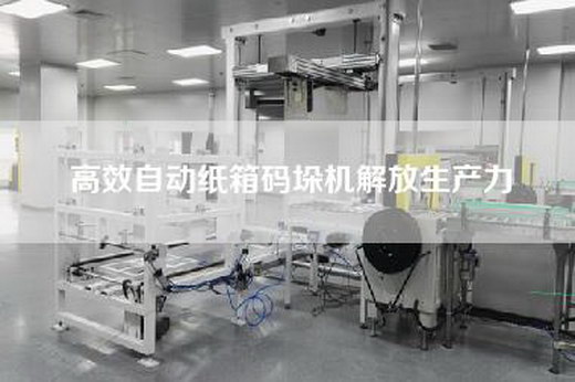 高效自動(dòng)紙箱碼垛機(jī)解放生產(chǎn)力