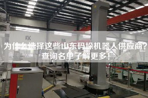 為什么選擇這些山東碼垛機(jī)器人供應(yīng)商？查詢名單了解更多！