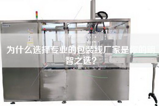 為什么選擇專業(yè)的包裝線廠家是你的明智之選？