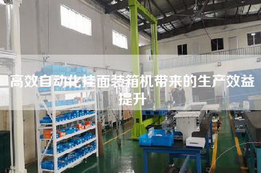 高效自動化掛面裝箱機帶來的生產(chǎn)效益提升