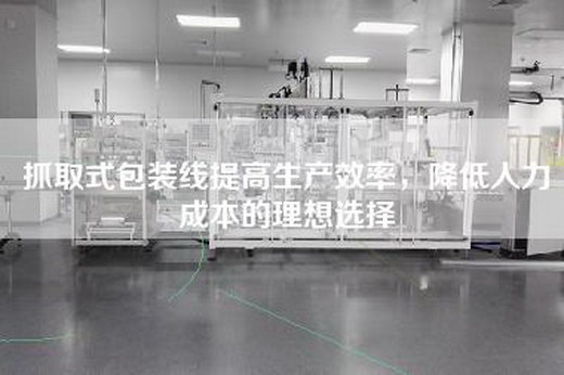 抓取式包裝線提高生產(chǎn)效率，降低人力成本的理想選擇