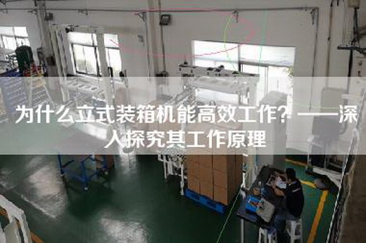 為什么立式裝箱機能高效工作？——深入探究其工作原理