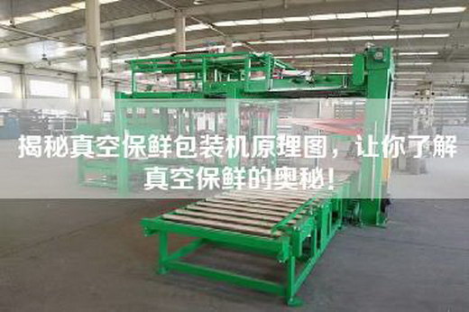 揭秘真空保鮮包裝機原理圖，讓你了解真空保鮮的奧秘！