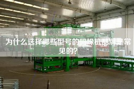 為什么選擇哪些型號的碼垛機品牌是常見的？