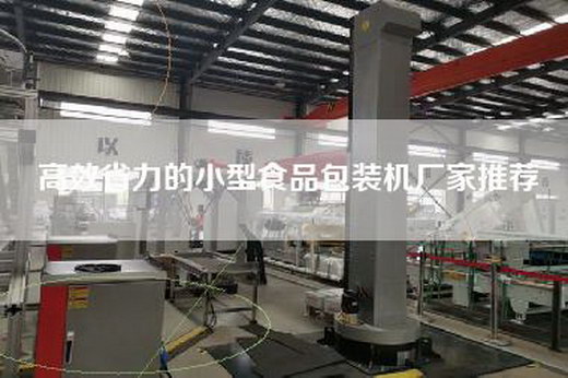 高效省力的小型食品包裝機廠家推薦