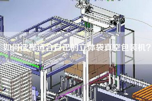 如何選擇適合自己的立體袋真空包裝機(jī)？