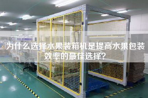 為什么選擇水果裝箱機(jī)是提高水果包裝效率的最佳選擇？