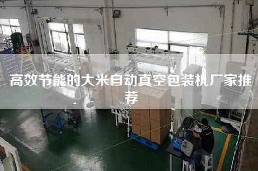 高效節(jié)能的大米自動(dòng)真空包裝機(jī)廠家推薦