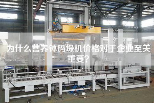 為什么營(yíng)養(yǎng)缽碼垛機(jī)價(jià)格對(duì)于企業(yè)至關(guān)重要？