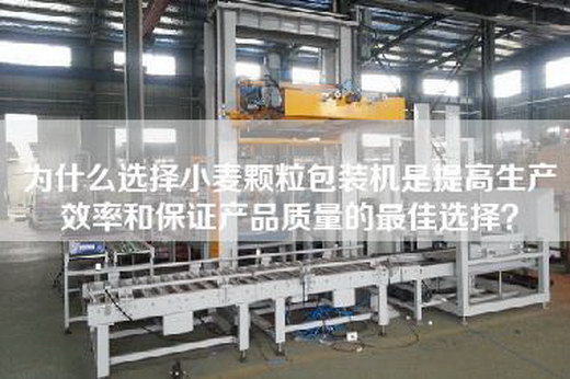 為什么選擇小麥顆粒包裝機(jī)是提高生產(chǎn)效率和保證產(chǎn)品質(zhì)量的最佳選擇？