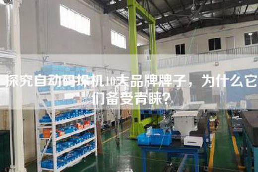 探究自動碼垛機(jī)10大品牌牌子，為什么它們備受青睞？